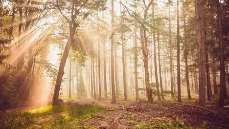 AL战队零封IG,冒泡赛前景堪忧,翻译穿搭成电竞圈热议